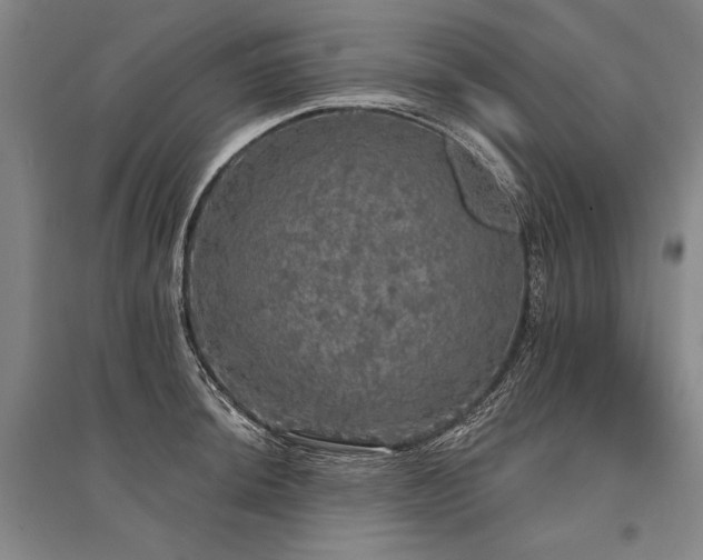 X0000095511044200712141419