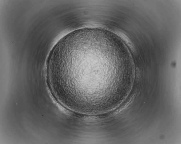 X0000095511046200712141419