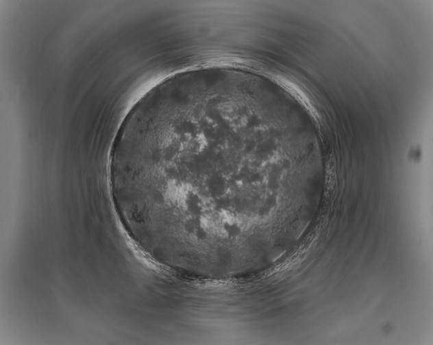 X0000095511047200712141419