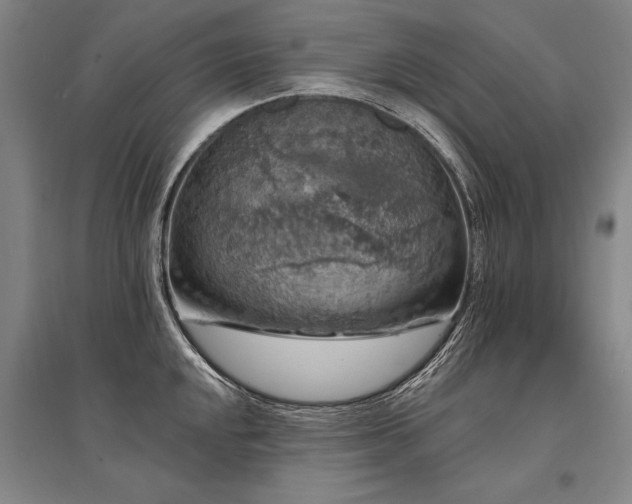 X0000095511048200712141419