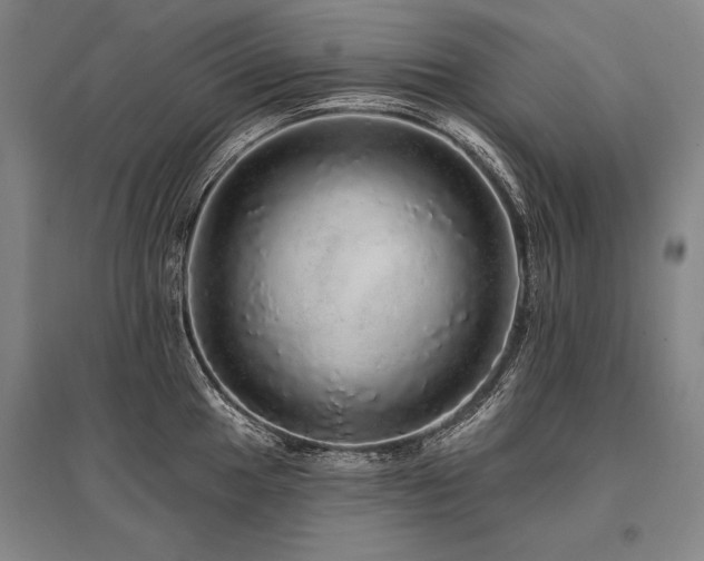 X0000095511049200712141419