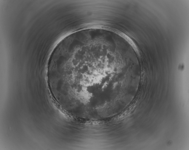 X0000095511051200712141419
