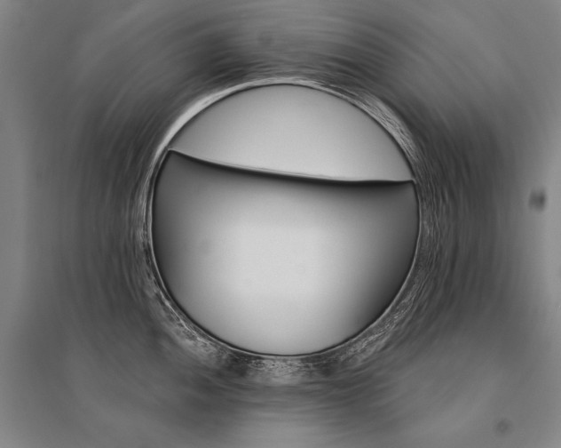 X0000095511052200712141419
