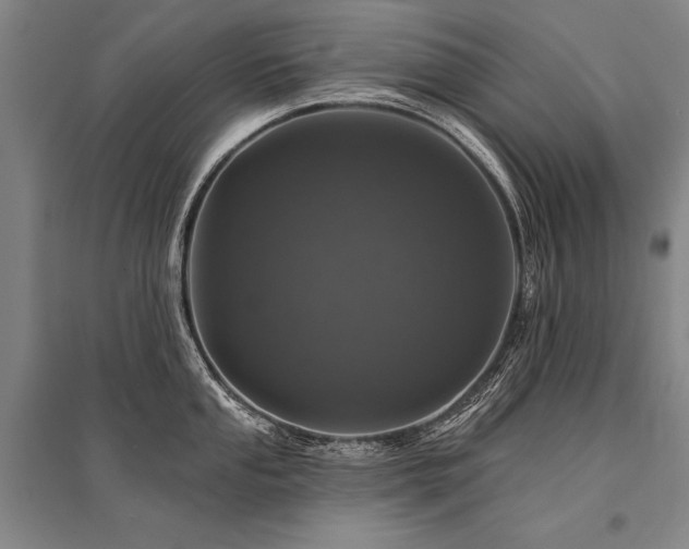 X0000095511053200712141419