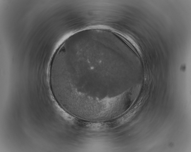 X0000095511054200712141419