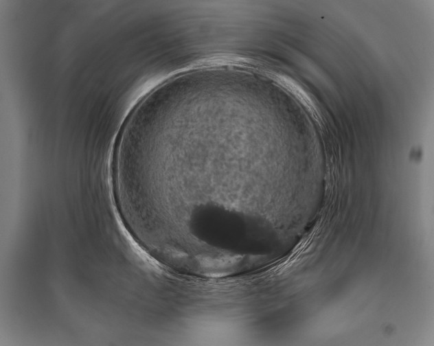 X0000095511055200712141419