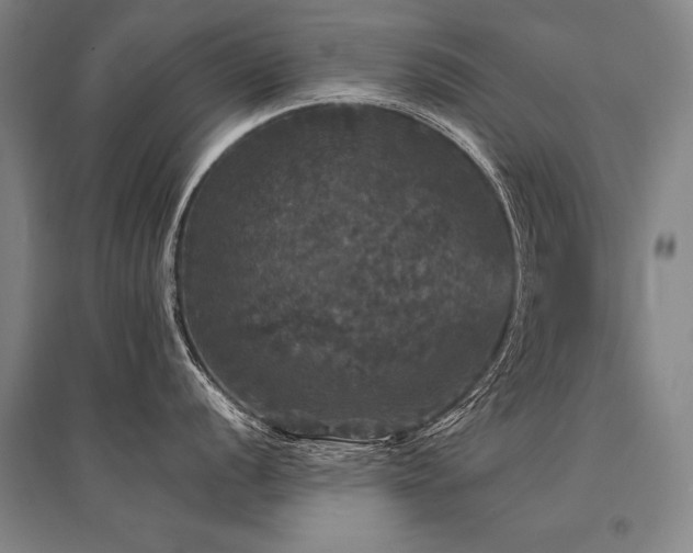 X0000095511056200712141419