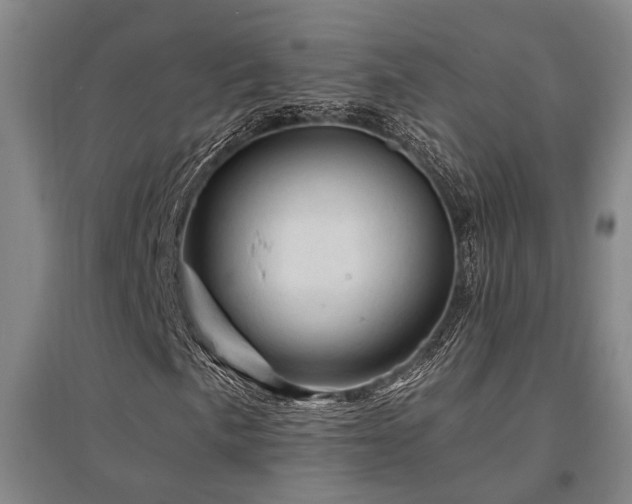 X0000095511057200712141418
