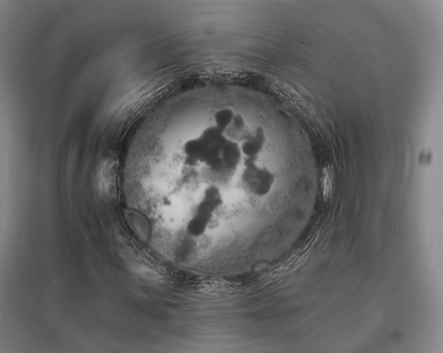 X0000095511059200712141418