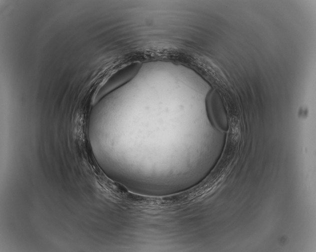X0000095511060200712141418