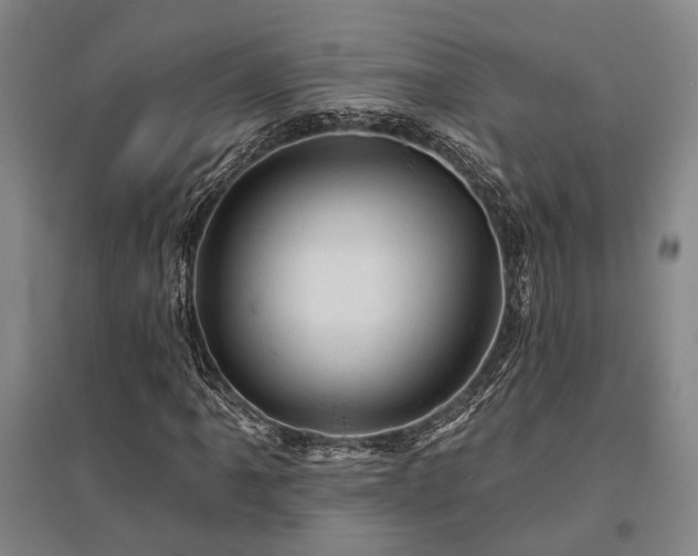 X0000095511061200712141418