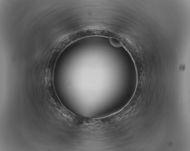 X0000095511062200712141418