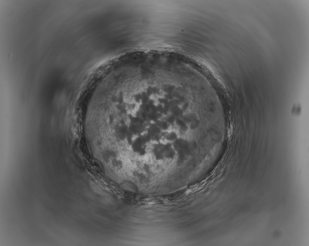 X0000095511063200712141418