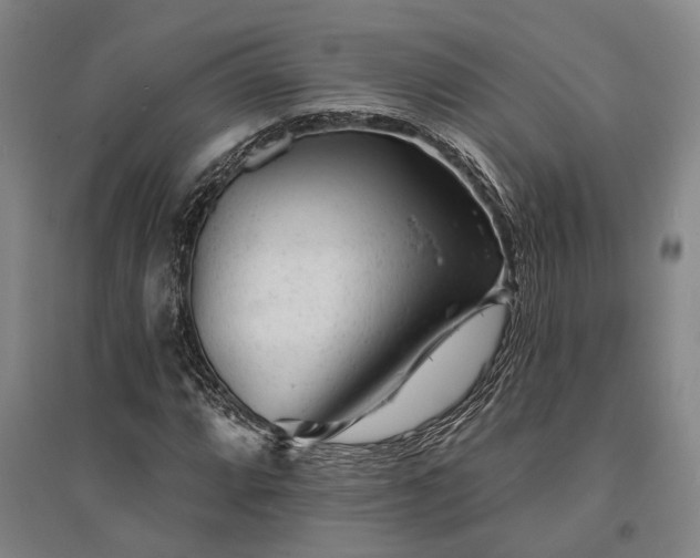 X0000095511064200712141418