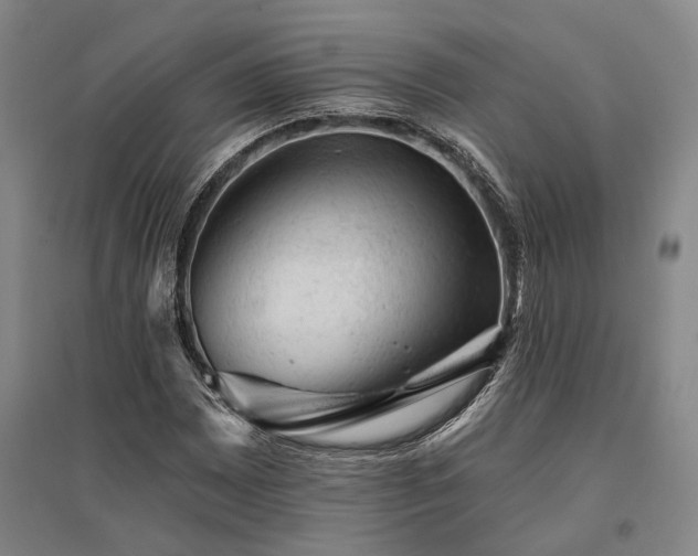 X0000095511065200712141418
