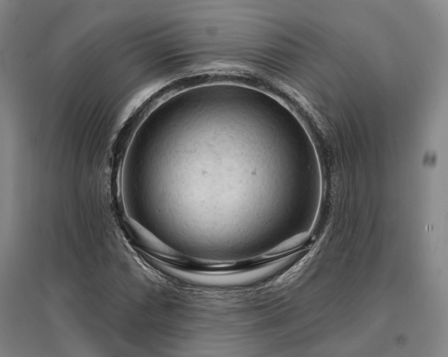 X0000095511066200712141418