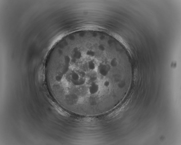 X0000095511067200712141418