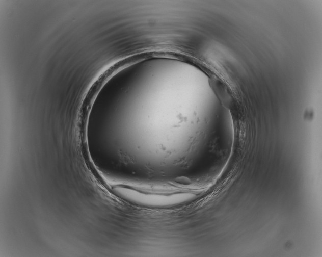 X0000095511068200712141418