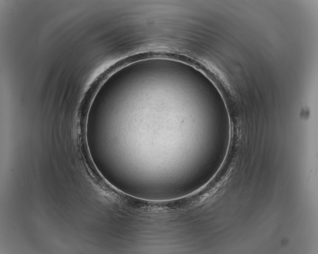 X0000095511070200712141418