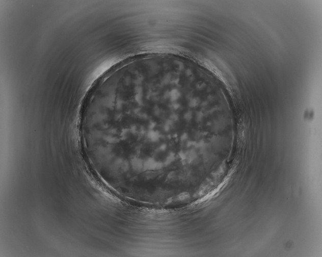 X0000095511071200712141418