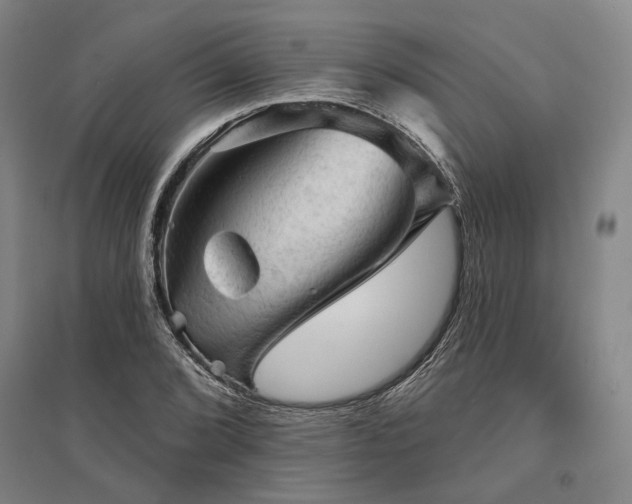 X0000095511072200712141418