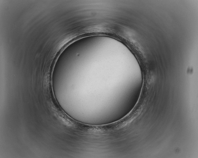 X0000095511073200712141418