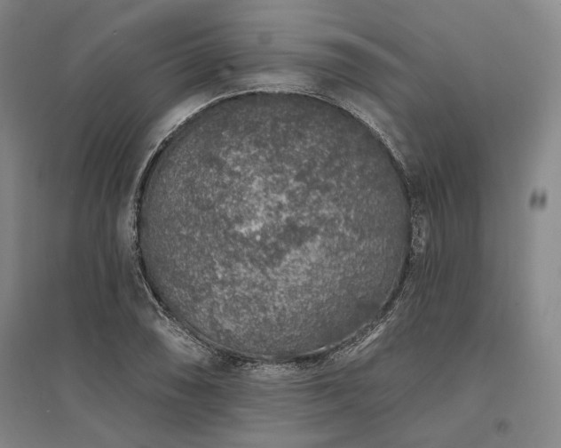 X0000095511074200712141418