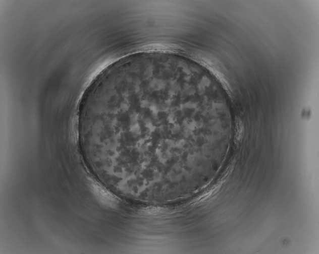 X0000095511075200712141418