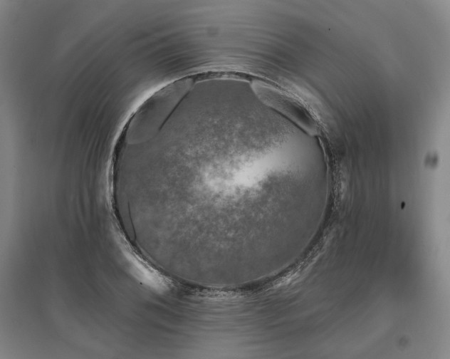 X0000095511076200712141418