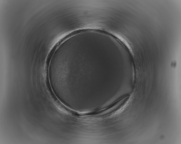X0000095511077200712141418