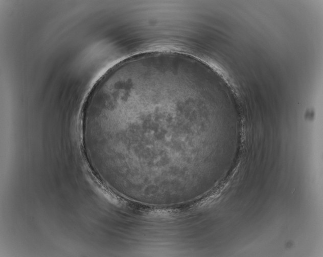 X0000095511078200712141418