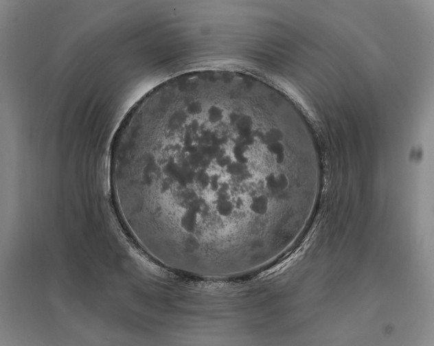 X0000095511079200712141418