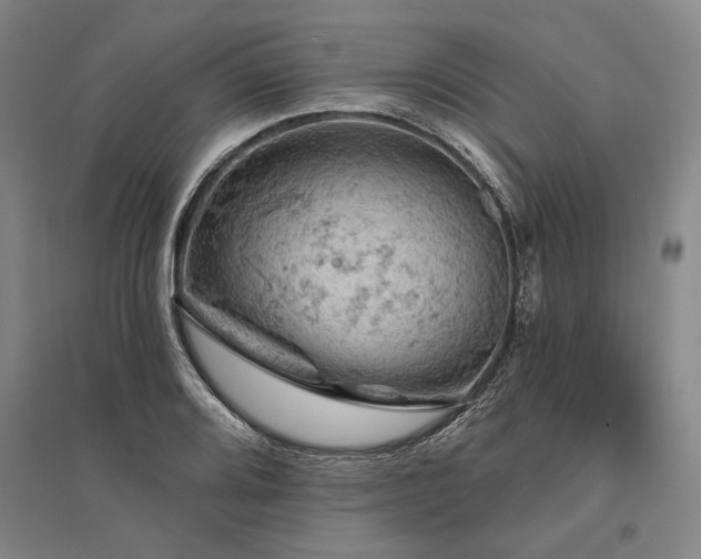 X0000095511080200712141418