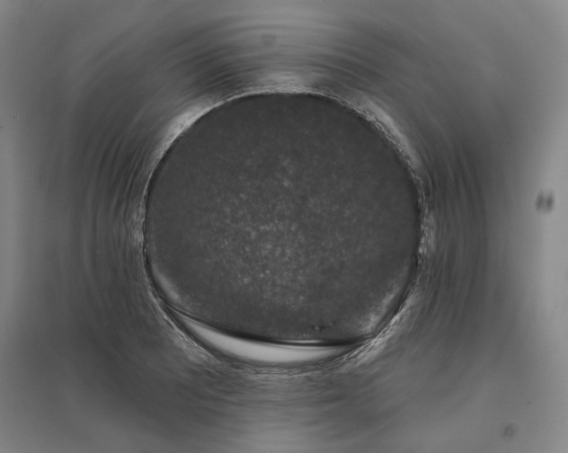 X0000095511081200712141418