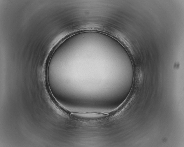 X0000095511082200712141418