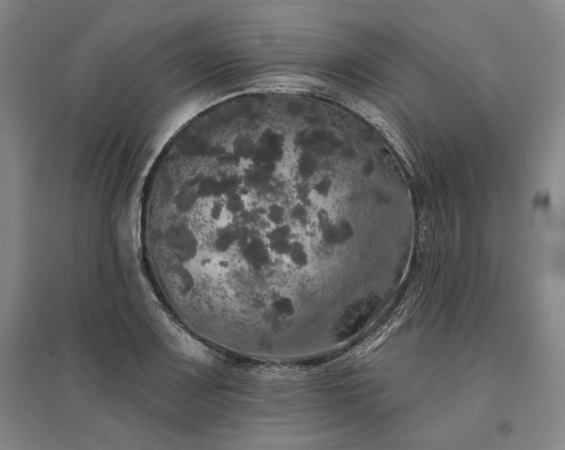 X0000095511083200712141418