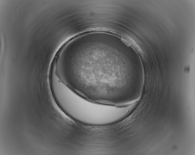 X0000095511084200712141418