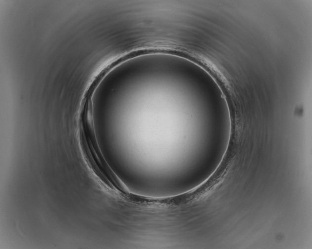 X0000095511085200712141418
