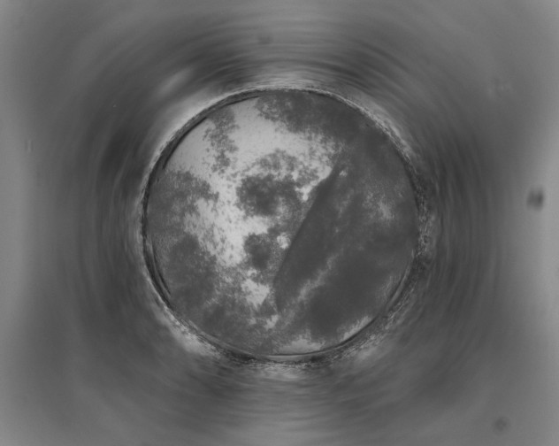 X0000095511086200712141418