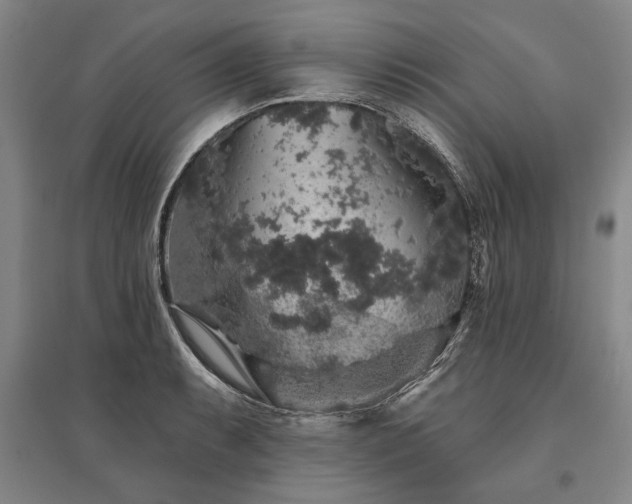 X0000095511087200712141418