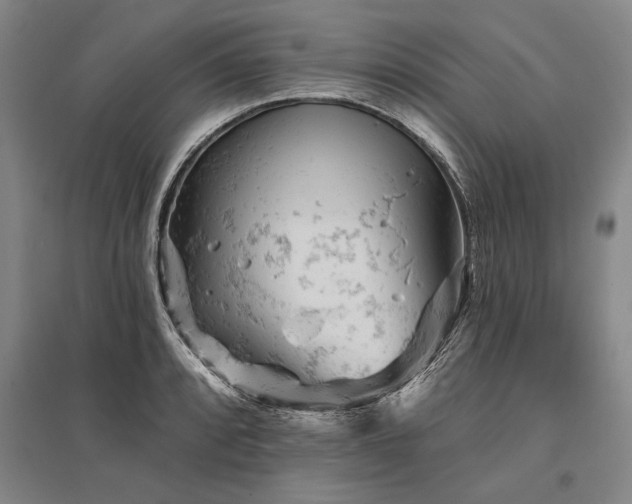 X0000095511088200712141418