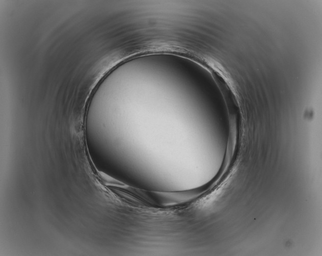 X0000095511089200712141418