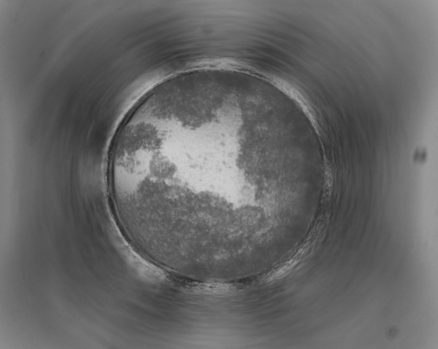 X0000095511090200712141418
