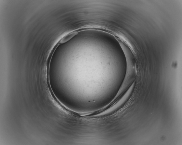 X0000095511092200712141418