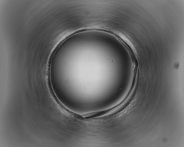 X0000095511093200712141418