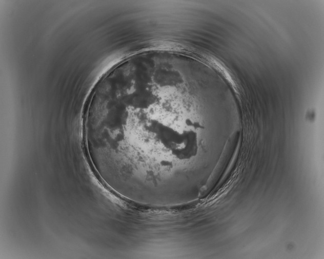 X0000095511095200712141418