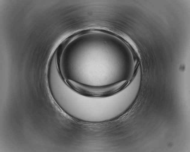 X0000095511096200712141418