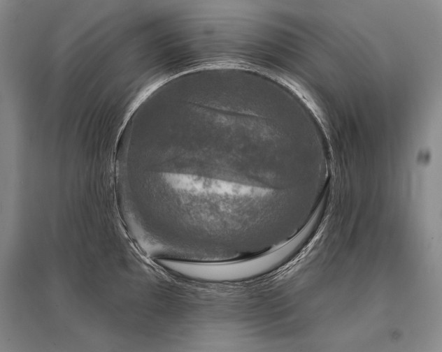 X0000095511097200712141418