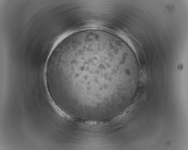 X0000095511098200712141418