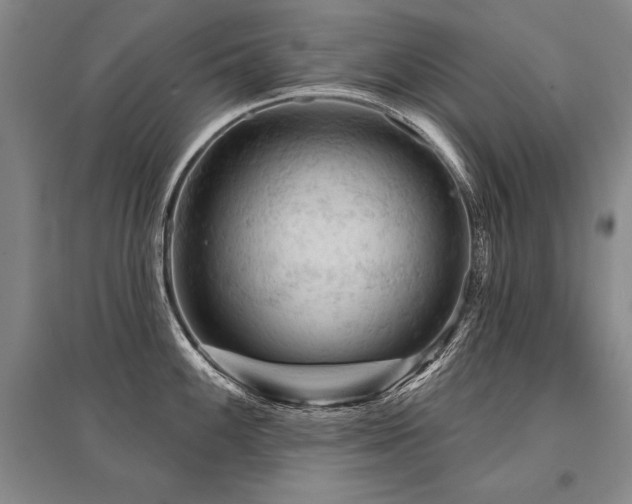 X0000095511100200712141418